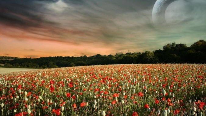 为什么这么久了还是没有主流软件开发鸿蒙版?